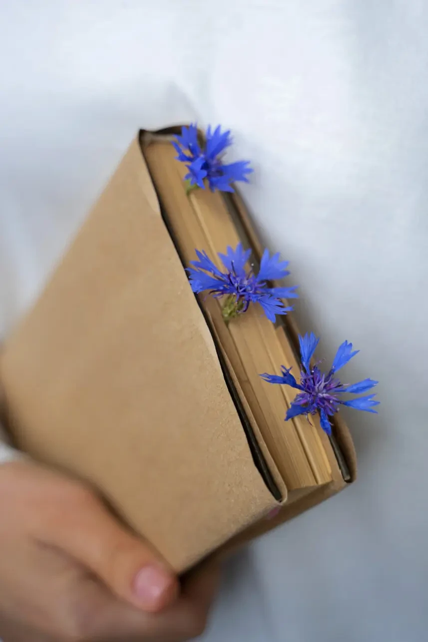 6 книжок до Дня Незалежності: що подарувати собі та рідним